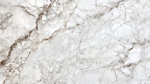 Light marble surface with brown mineral veining pattern.