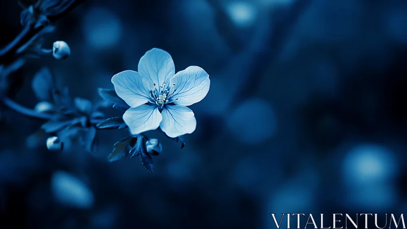 Blue Delicate Flower in Monochromatic Moonlight.