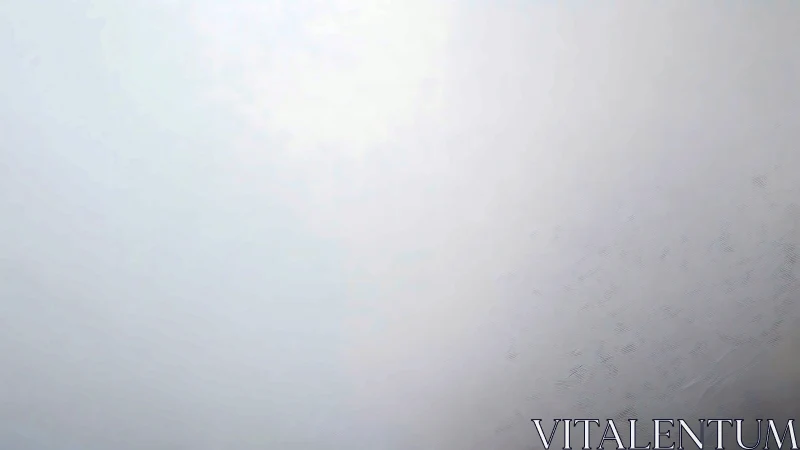 Minimal foggy gradient field with diffuse soft lighting.