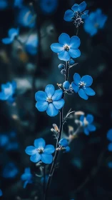Blue Wildflower Stem with Five-Petaled Blooms