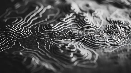 Gently glowing contour lines trace a mysterious terrain