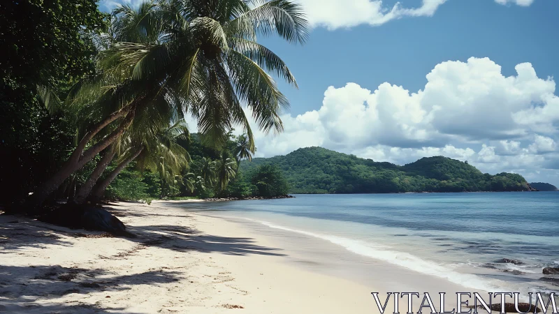 Tropical Escape: Where Palm Trees Meet Paradise Shores.