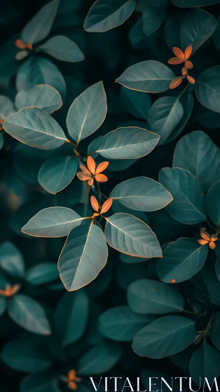 Selective focus isolates teal foliage with contrasting orange tips