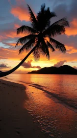 Palm silhouette dominates vivid tropical sunset sky.