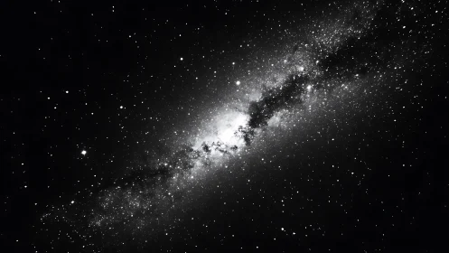 Monochrome star field with dense galactic core band.