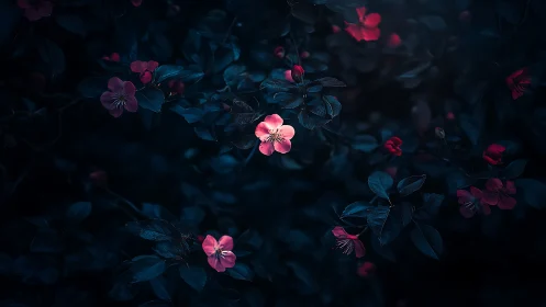 Pink Flowers Glowing Against Dark Teal Foliage