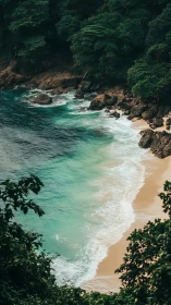 Emerald cove shoreline meets dense tropical jungle canopy.