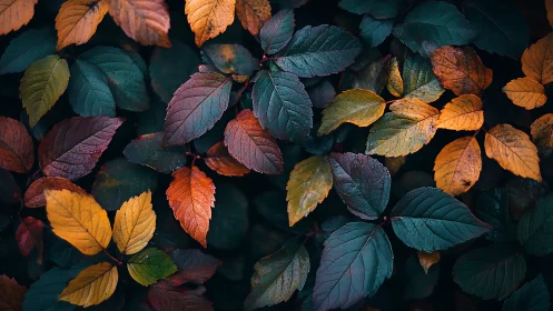 Midnight garden leaves trading whispers of autumn light.