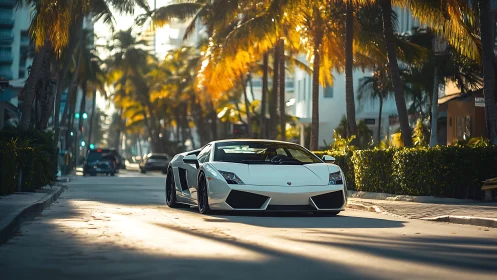 White sports car moves through palm-lined urban street scene