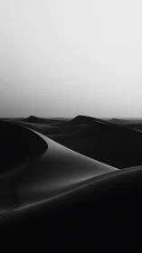 Monochrome sand dunes form smooth curves under flat sky