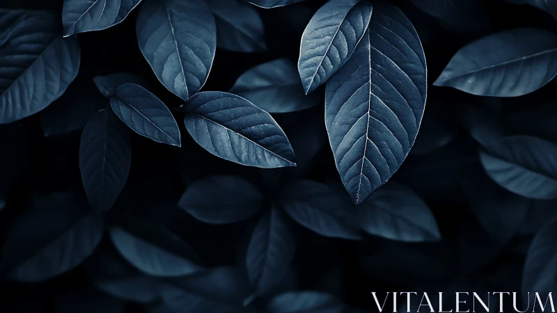 Monochrome leaves form overlapping pattern in soft focus