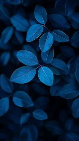 Midnight blue leaves glow softly in a dreamy forest hush