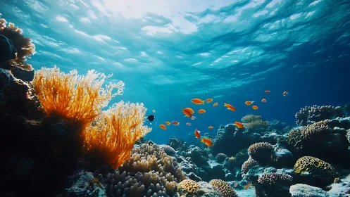 Sunlit coral forest shimmers while orange fish drift by