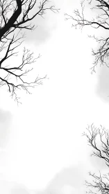 Bare winter branches framing white minimalist skyscape.