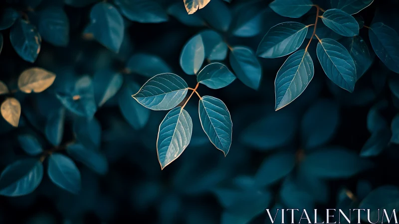Close-up view of blue-toned foliage with selective focus.