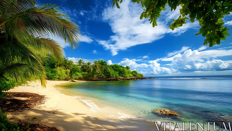 Paradise Cove: Where Emerald Shores Meet Crystalline Waters.