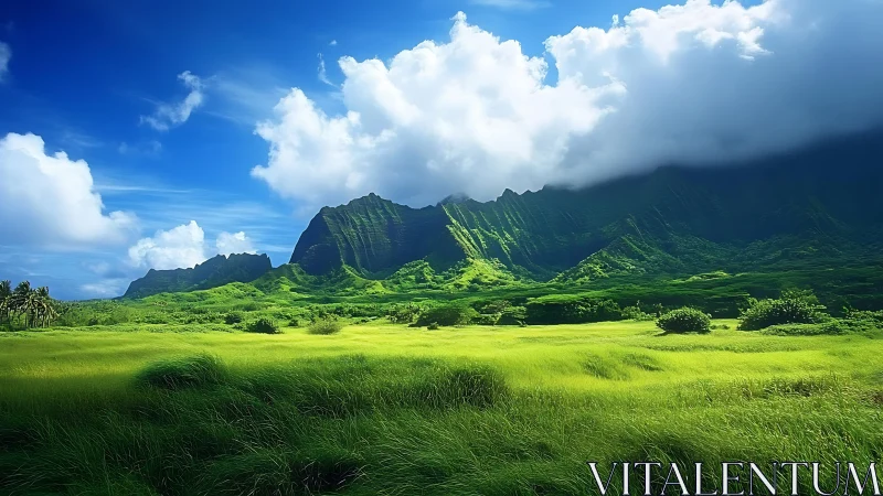 Emerald wind dances below cloud-draped volcanic guardians