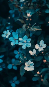 Teal and Cream Flowers in Soft Focus Garden.