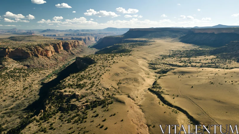 High-angle view shows arid canyon plateau and eroded valley floor