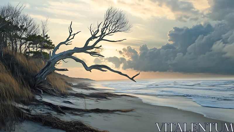Windswept Coastal Tree at Sunrise in Dramatic Realism Style.