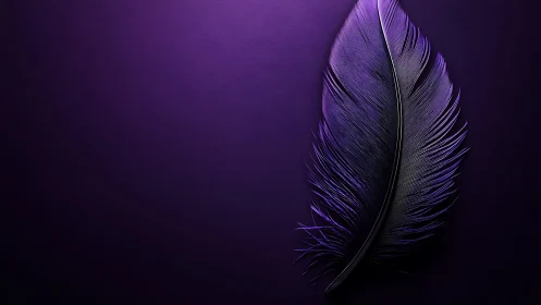 Midnight feather glows softly on deep violet silence.