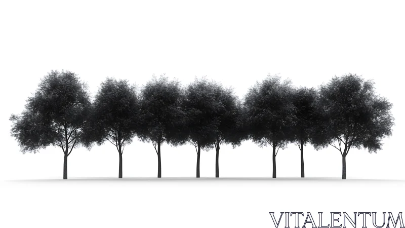 Row of evenly spaced deciduous trees on white background.