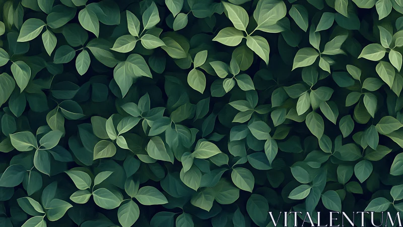 Leafy whispers drift across a velvet wall of midnight green