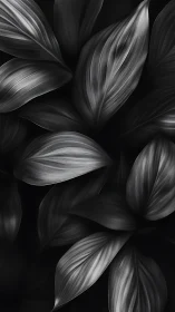 Silverleaf shadows drift like quiet waves in moonlight