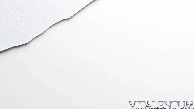 Torn textured paper boundary on high-key minimal plane.