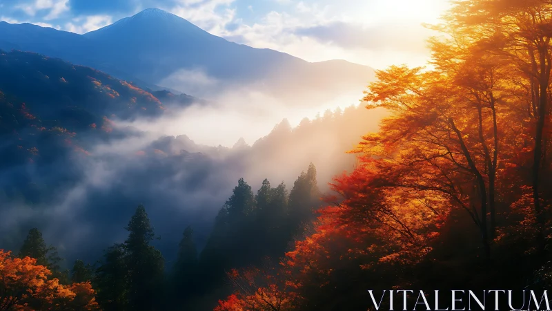 Golden autumn forest glows beneath misty mountain dawn
