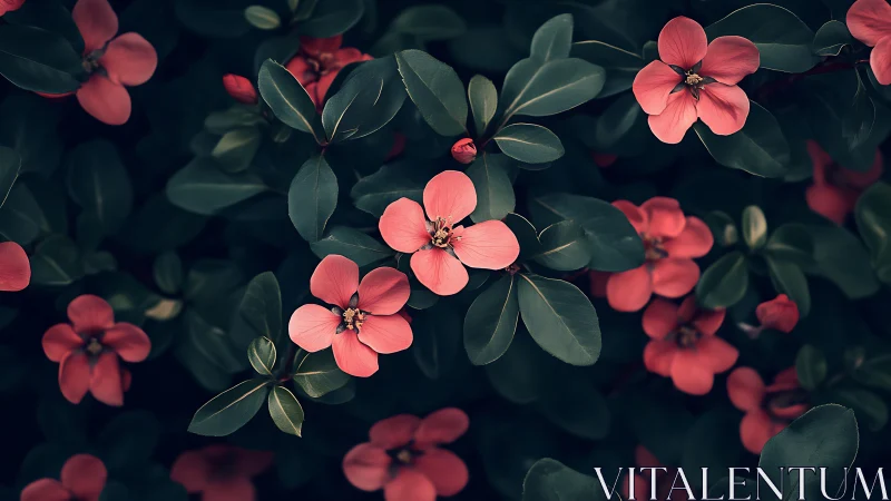 Coral Blooms Against Deep Foliage: Botanical Macro Study.