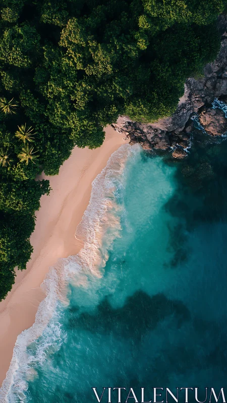 Tropical Beach Paradise with Turquoise Waters and Lush Jungle