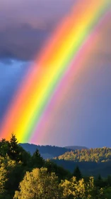 Vibrant rainbow arcs over sunlit forested hills after storm