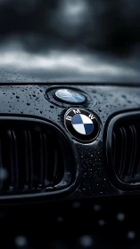 BMW hood emblem with rain droplets on glossy black grille.