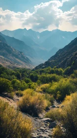Sunlit mountain valley with layered blue ridges and scrub.