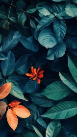 Deep teal foliage gently frames vivid orange tropical leaves