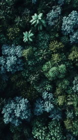 Canopy Crowns: Palms Reign Over the Tangled Forest Floor