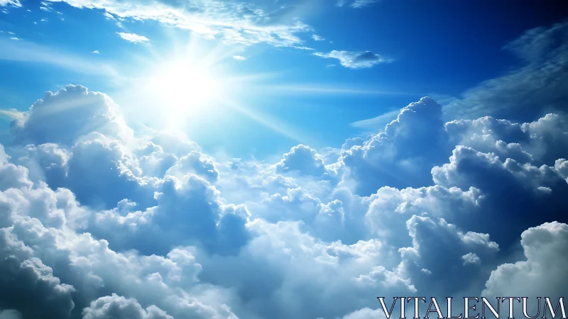 Sunlit cumulus cloudscape beneath clear upper sky layer.