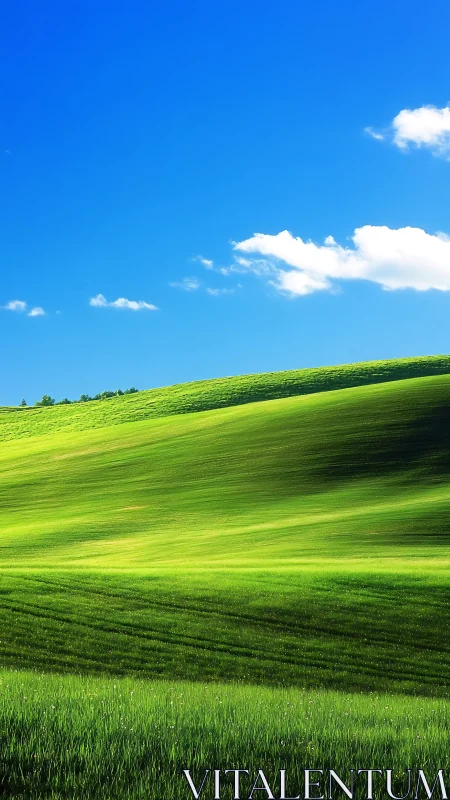 Sunlit green hills roll gently beneath vivid blue sky.