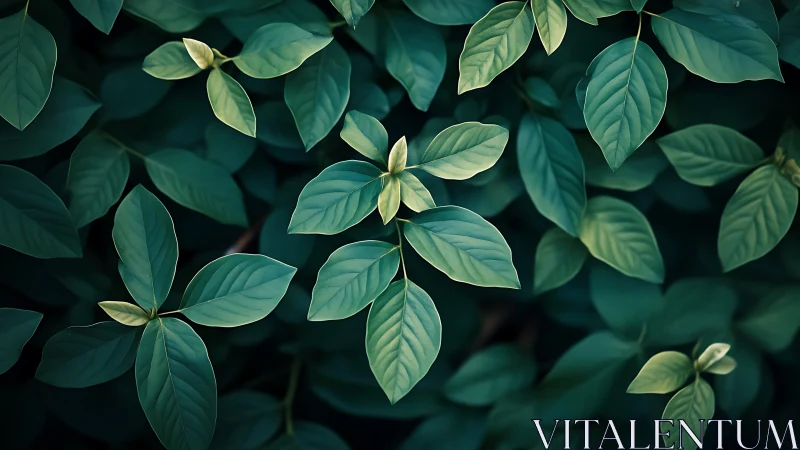 Leaf chorus leans into dusk, whispering in teal light