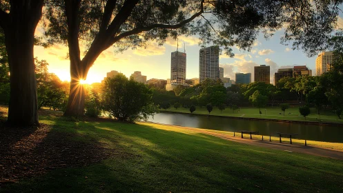Sunlit urban parkland with riverfront skyline perspective.
