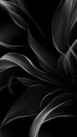 Soft monochrome ribbons curl gently through shadowed space