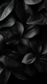 Midnight leaf whispers in soft monochrome calm.