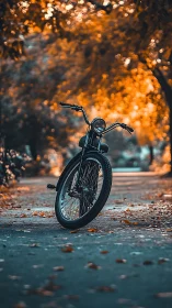 Bicycle Positioned on Urban Pavement Under Autumn Foliage