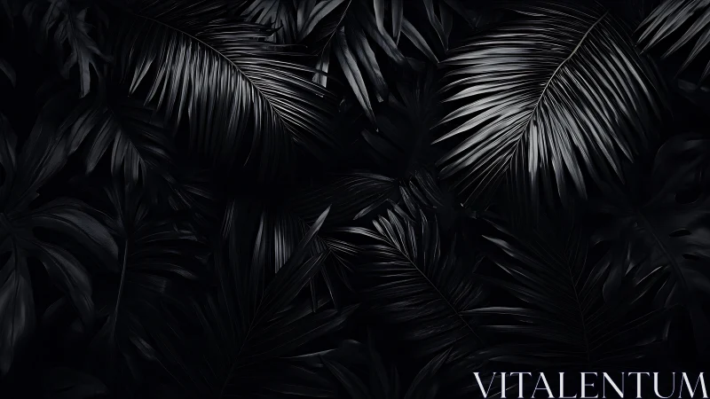 Dark tropical leaves form glossy monochrome jungle canopy