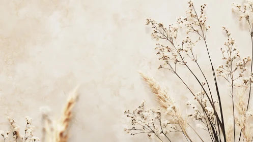 Dried Wildflowers in Serene Neutral Tones