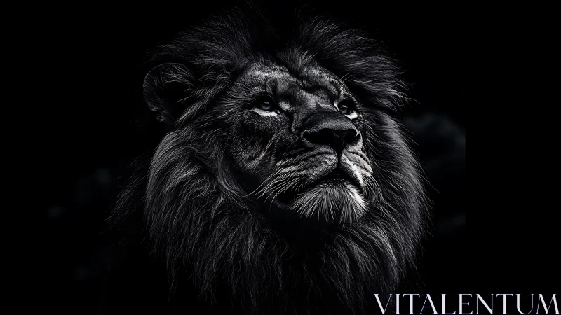 Monochrome side portrait of mature lion on dark background.