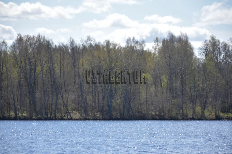 View of the river Daugava in spring Free Stock Photo