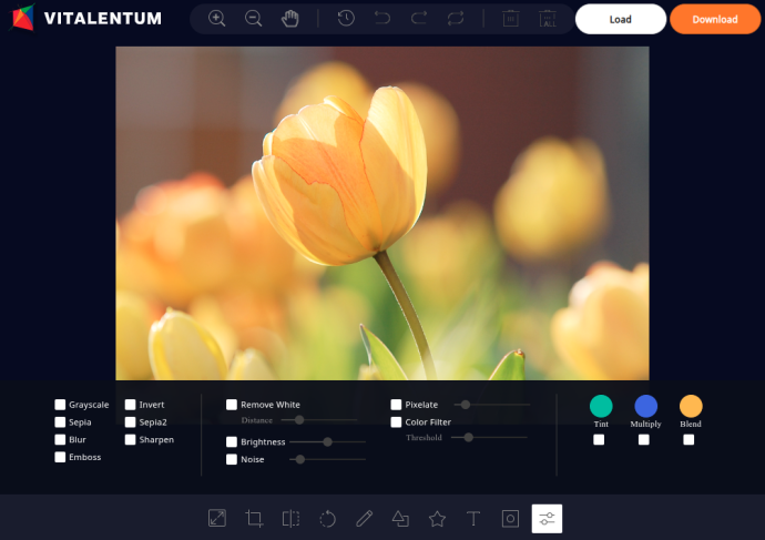 Vitalentums free Image editor