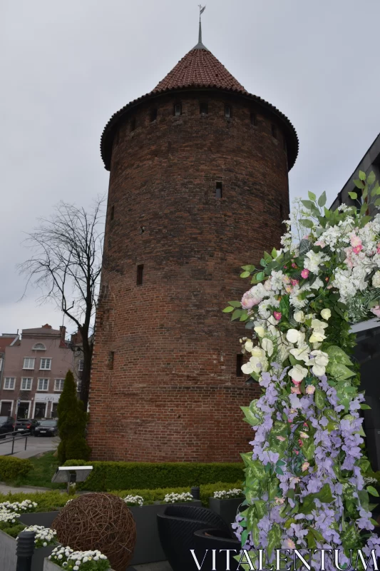 The Gdańsk Powder Tower Casts A Dark Shadow Over Vibrant Flowers Free Stock Photo